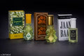 St Font Sensational Choice Eau De Perfume Combo Vol 10